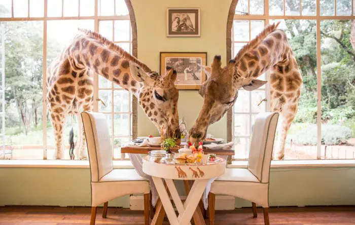 Hotel Giraffe Manor en Nairobi, Kenia