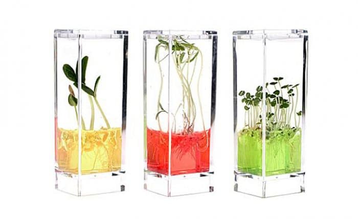 Juguete ecológico Vegetales mágicos