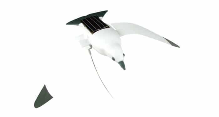 Juguete ecológico infantil Kit gaviota solar
