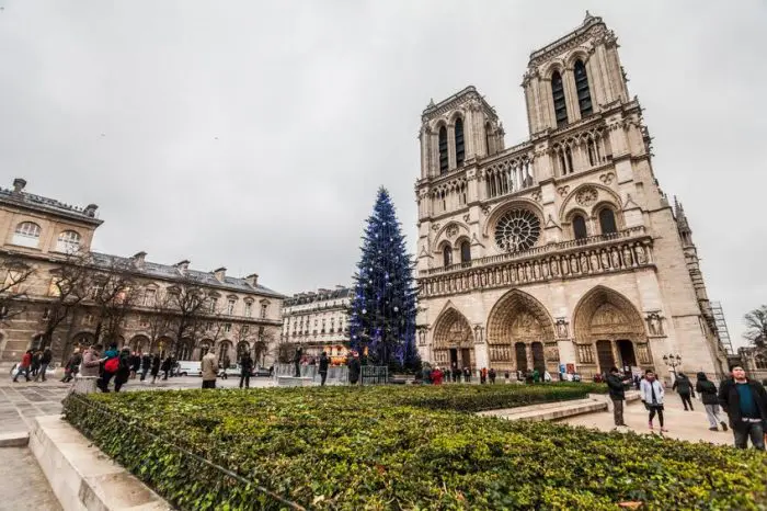 Árbol de Navidad en la Catedral de Notre-Dame, en París