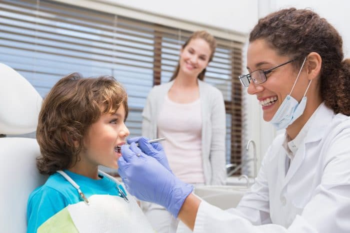 Dientes de leche fuente de células madre