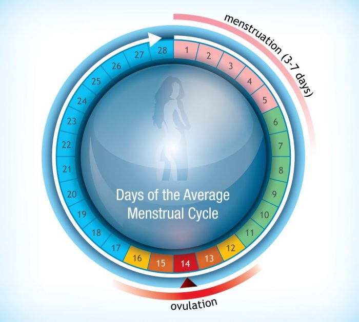 Calendario de ovulacion