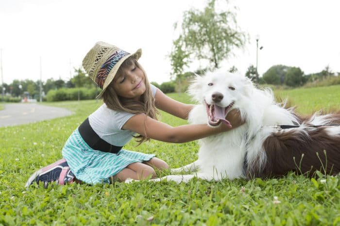 Esfera emocional perros similar niños