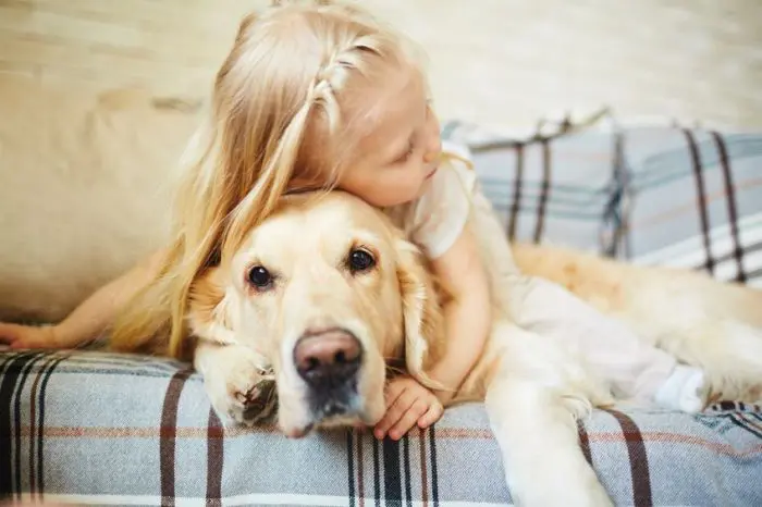 Las emociones infantiles y caninas comparten una base muy similar