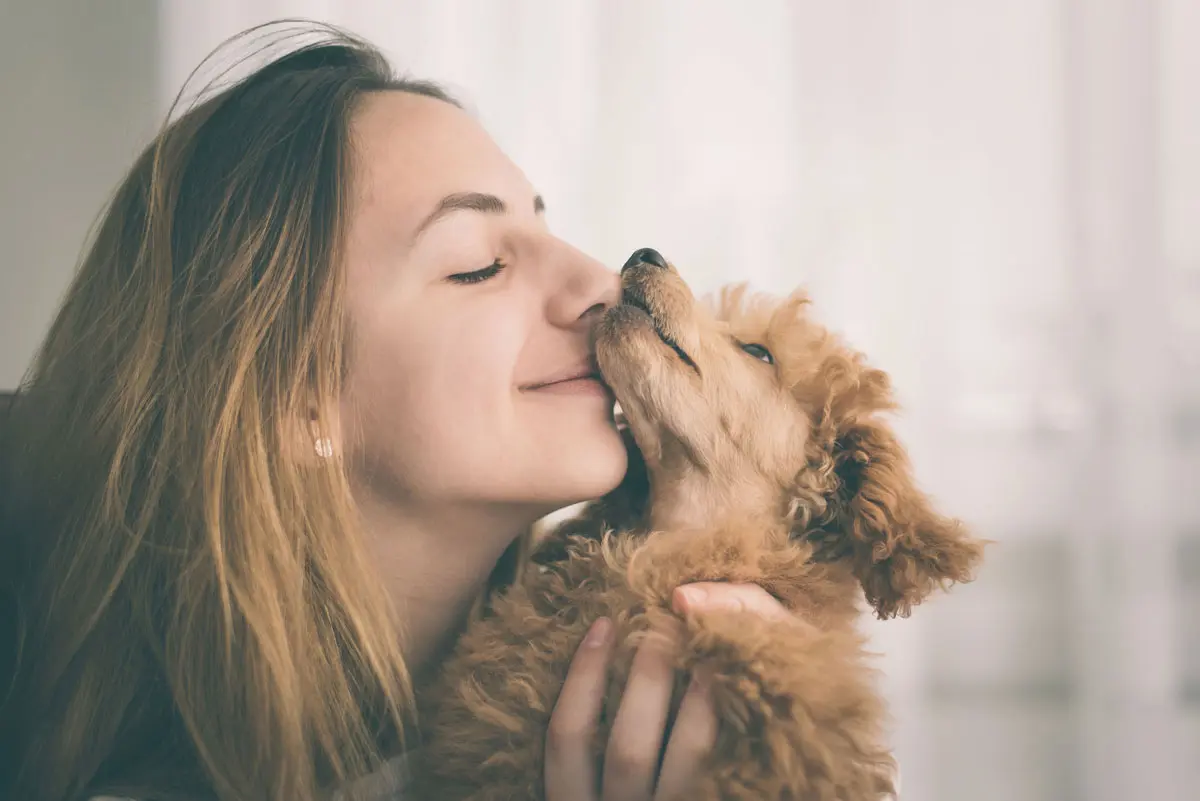 Emociones en los perros