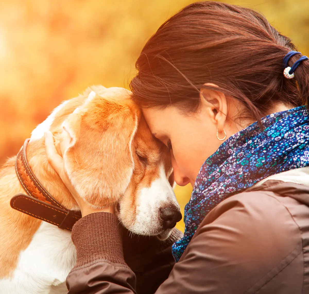 Los perros son capaces de sentir de forma parecida a los niños