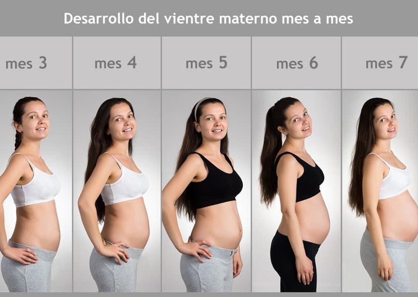 diferente Rayo Ceder Mes a mes: ¿Cómo crece la barriga durante el embarazo? - Etapa Infantil