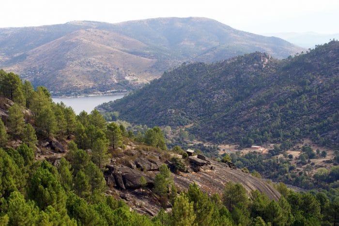Excursión Lancha de las Víboras, Senda botánica en el Valle de Iruelas, en Ávila, Madrid