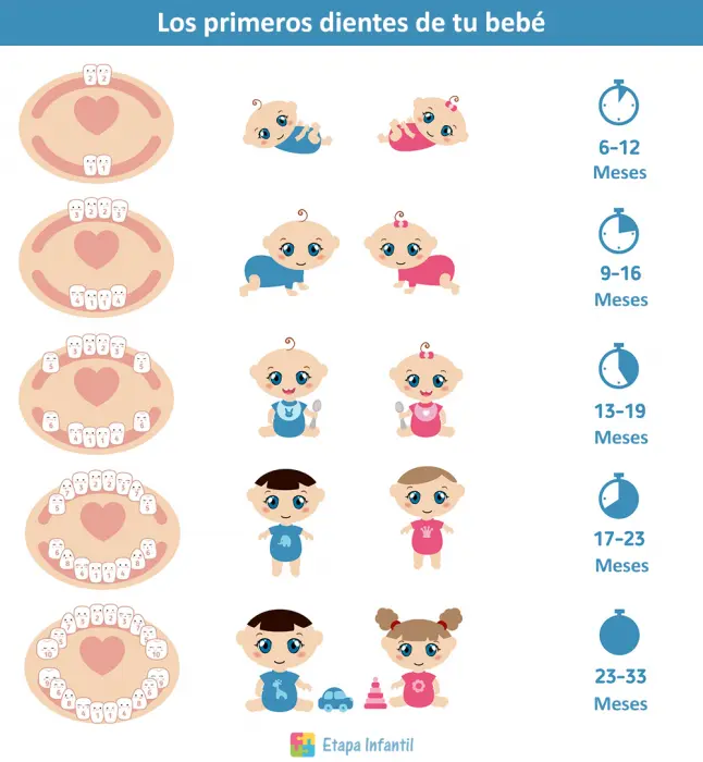 Los primeros dientes de leche de tu bebé