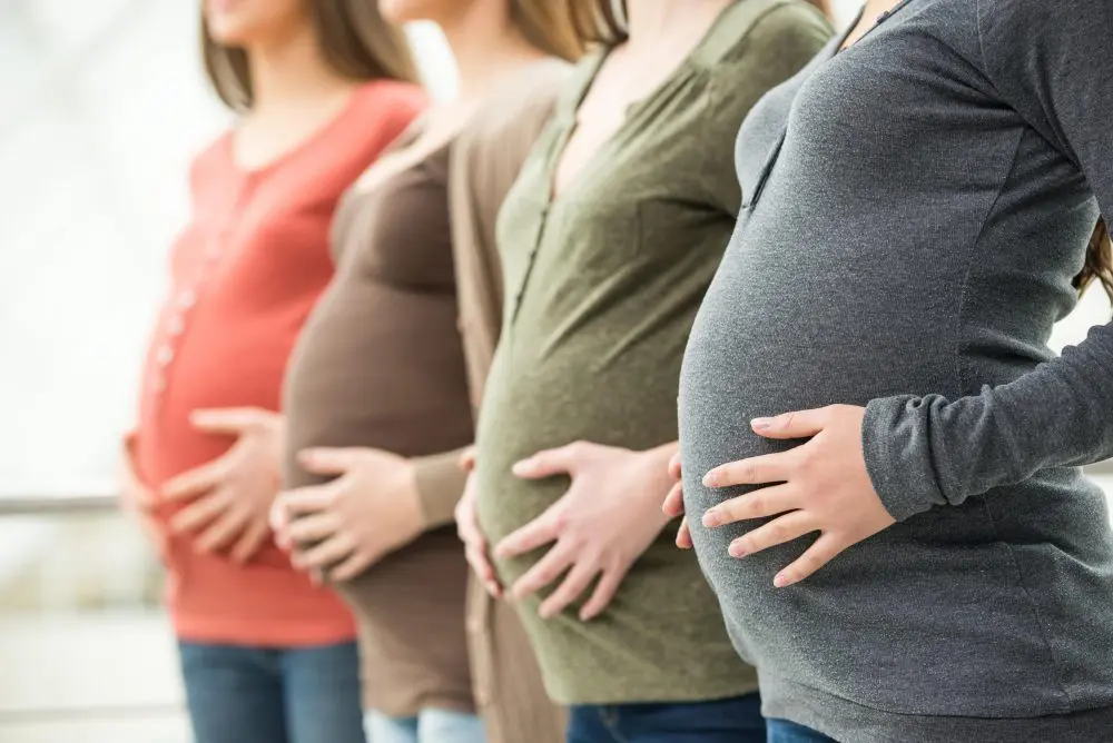 Barriga embarazada