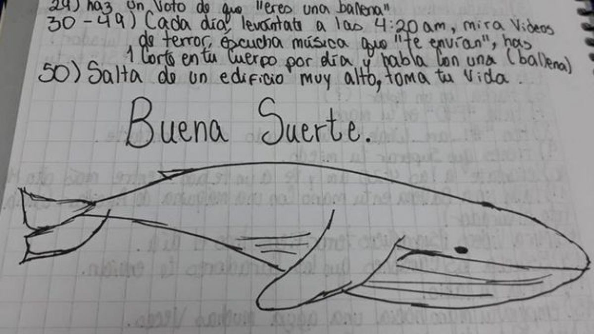 La Ballena Azul: si no cumples el reto amenazan con ir a por tu familia -  Etapa Infantil