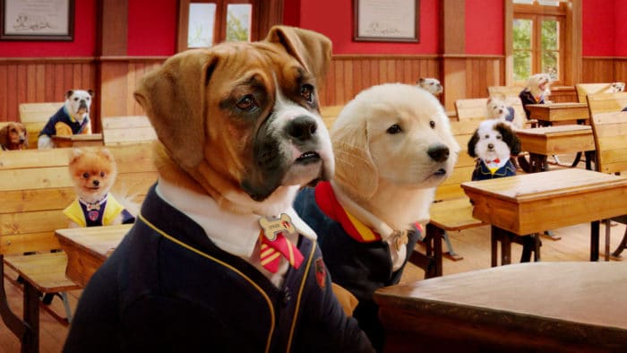 Serie familiar Netflix Escuela de cachorros