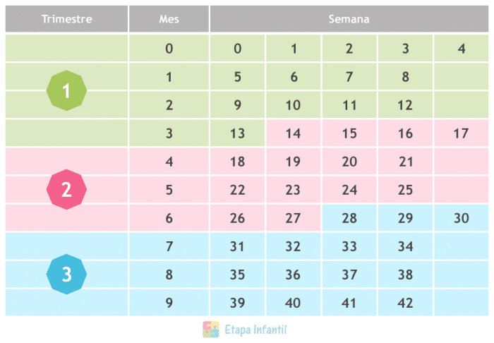 Tabla para contar las semanas y los meses en el embarazo Tabla para contar las semanas y los meses en el embarazo