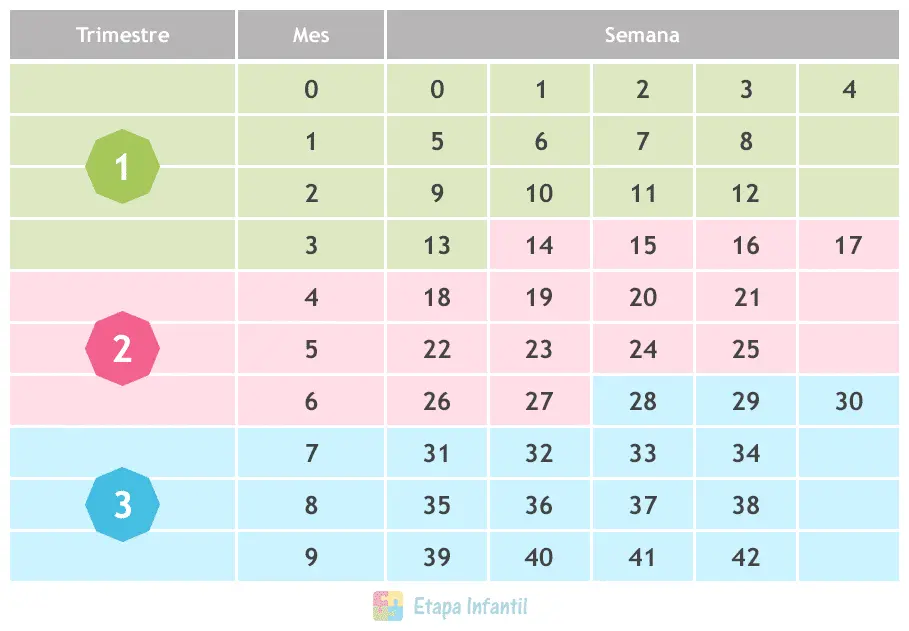 Presta atención a orientación Sin lugar a dudas Tabla para contar las semanas y los meses en el embarazo - Etapa Infantil Presta atención a orientación Sin lugar a dudas Tabla para contar las semanas y los meses en el embarazo - Etapa Infantil