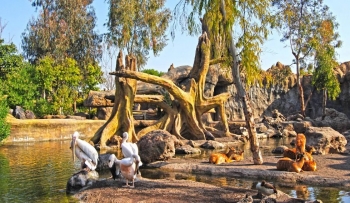 10 viajes que todo niño debería hacer antes de los 10 años 10 viajes que todo niño debería hacer antes de los 10 años