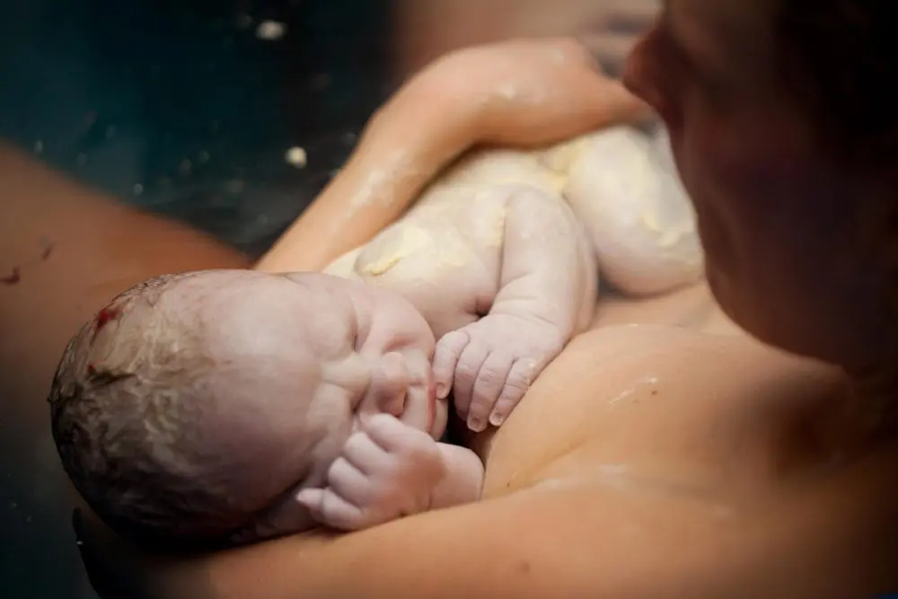 NO cojas al bebé antes que la madre tras el parto