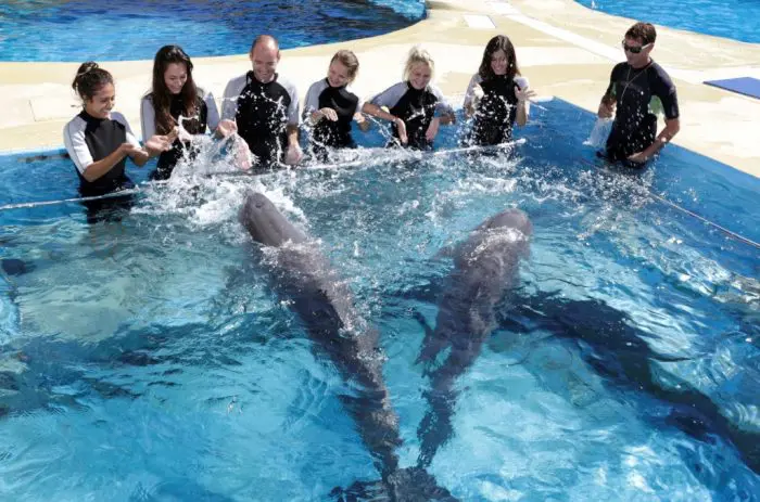 Delfines Aquopolis Costa Dorada, en Platja de la Pineda, Tarragona