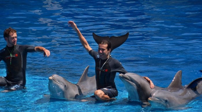 Delfines Zoo Aquarium, en Madrid