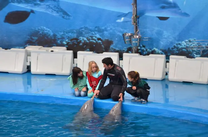 Delfines Zoológico, en Barcelona