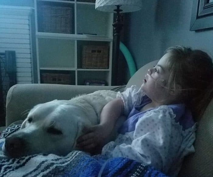 Sadie y Hero, niña con Síndrome de Down y su perro labrador 4