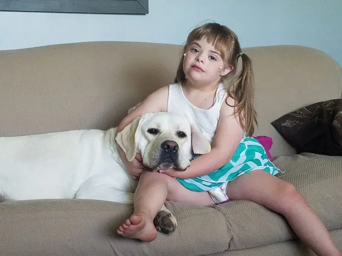 Sadie y Hero, niña con Síndrome de Down y su perro labrador 8