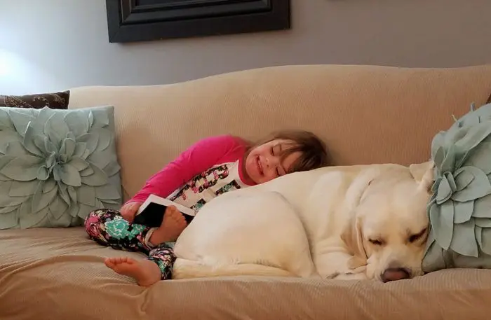 Sadie y Hero, niña con Síndrome de Down y su perro labrador