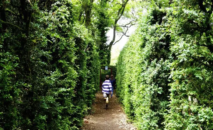 Viajar Laberinto de Merville, en Toulouse, Francia