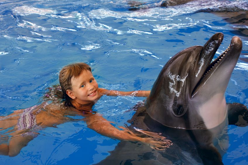 Aventuras con delfines para niños en España