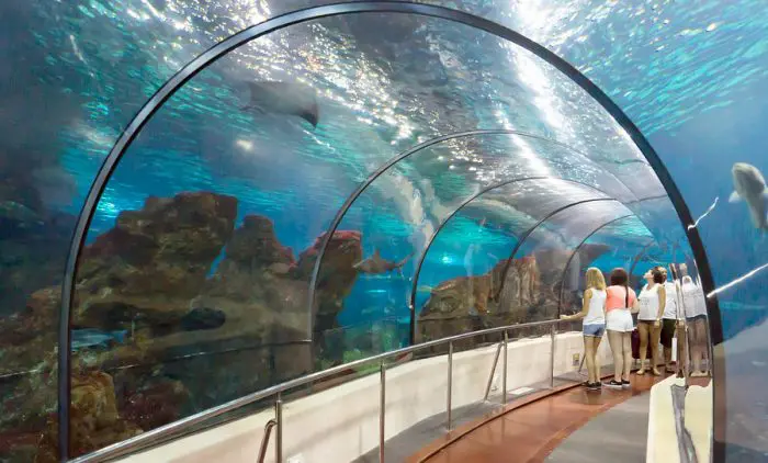 Aquarium de Barcelona