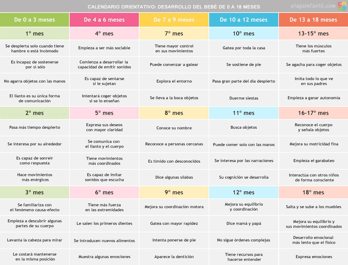 sexo Intacto Corte Calendario orientativo: El desarrollo del bebé desde que nace hasta los 18  meses - Etapa Infantil