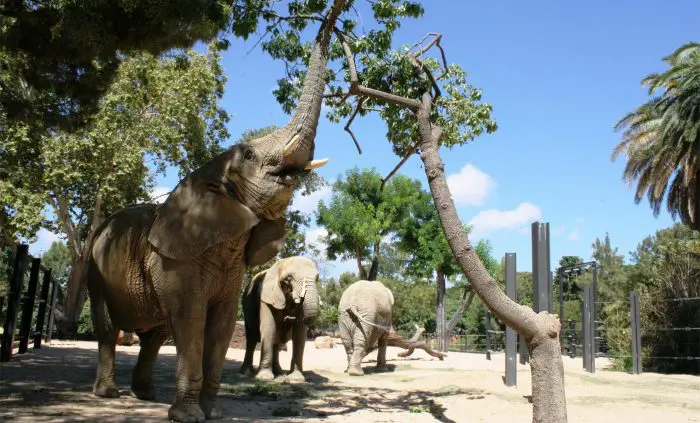 Zoológico de Barcelona