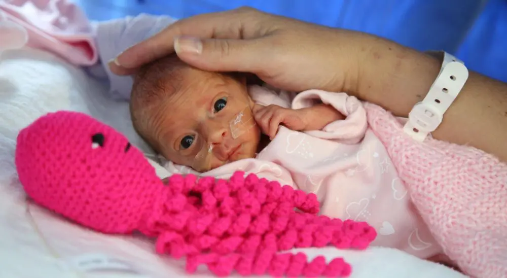 Pulpos de ganchillo para los bebés prematuros: Una iniciativa controvertida