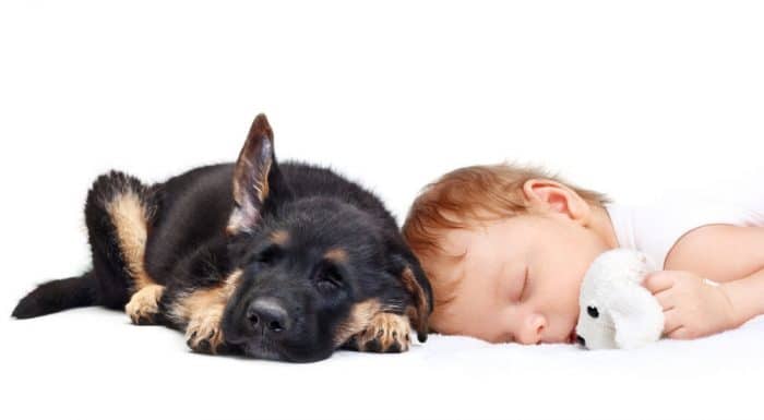 Qué hacen las mascotas cuando están solas con los bebés