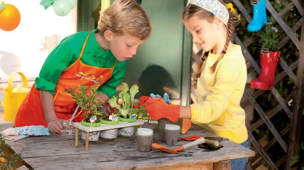 Kit de huerto infantil: Todo lo que los niños necesitan para hacer un huerto urbano