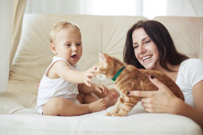 Gatoterapia: Las ventajas para los niños de vivir con un gato ...