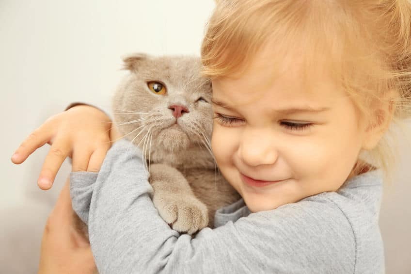 Gatoterapia: Las ventajas para los niños de vivir con un gato ...