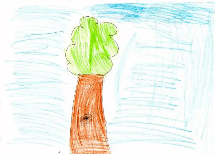 El test del árbol: descubre la personalidad de tu hijo a través del dibujo  - Etapa Infantil