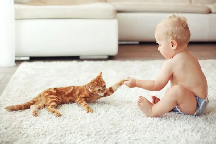 Beneficios gatos niños bebés