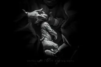 Ker-Fox Photography