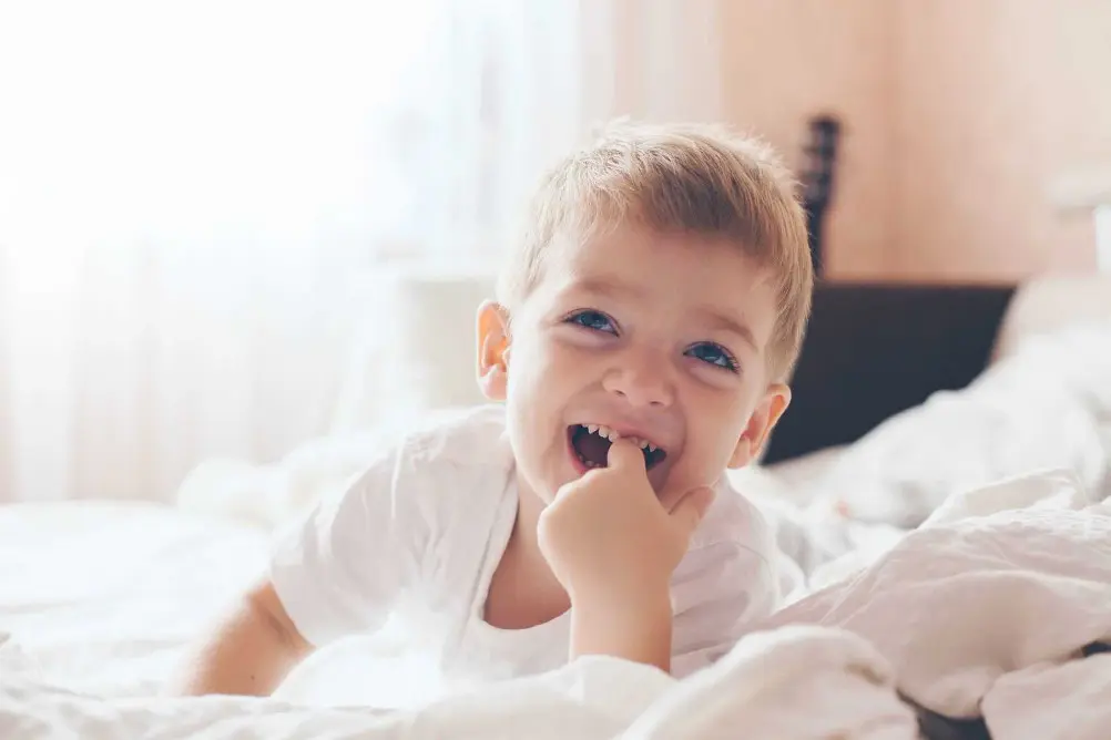 Los niños de 2 años necesitan límites para crecer emocionalmente equilibrados