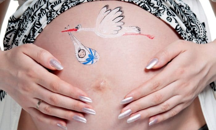 Barriga embarazada pintada cigüeñas