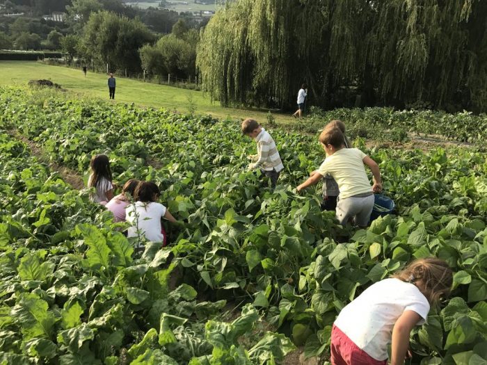 Camping Amaido, en San Tirso de Abres, Asturias
