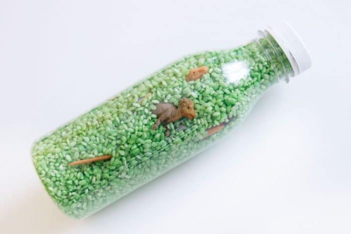 Botellas sensoriales dinosaurio