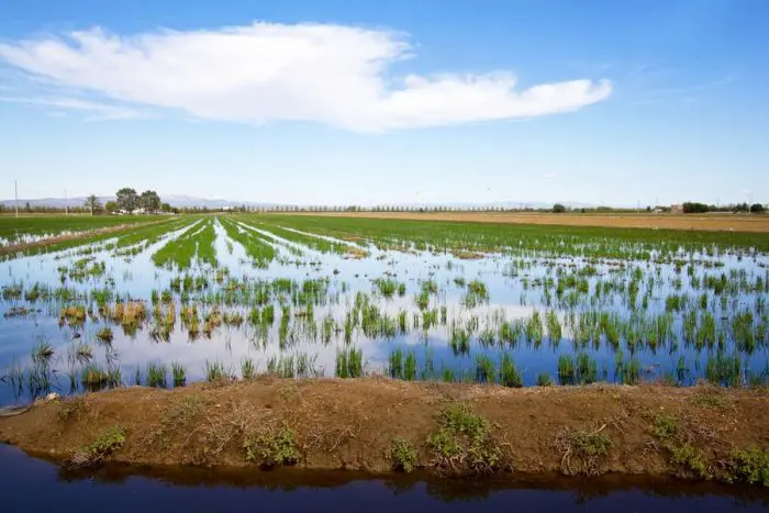 Turismo sostenible Delta del Ebro