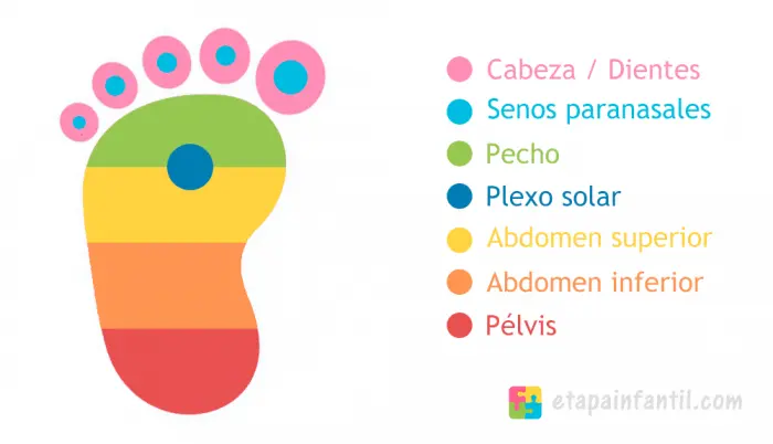 Reflexología podal para bebés puntos