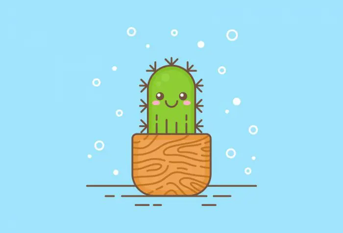 Cactus