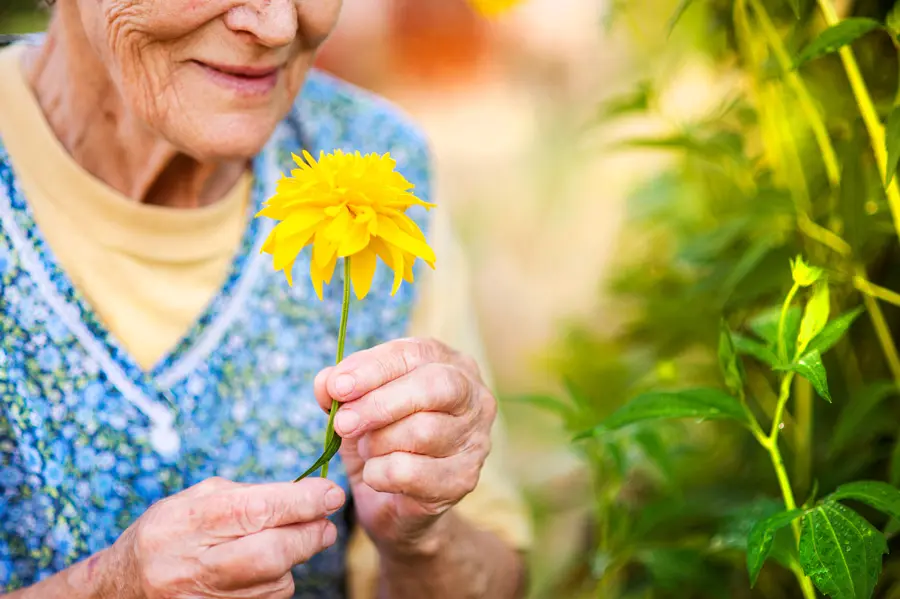 Abuela, dime por qué me quieres tanto