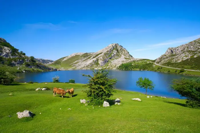 Lagos de Covadonga con niños