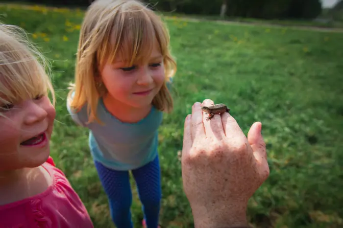 Adivinanzas de animales para niños con respuesta