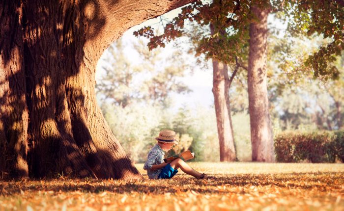 Refranes para niños